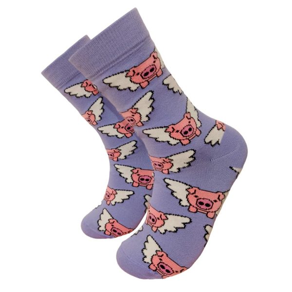 Flying Pig