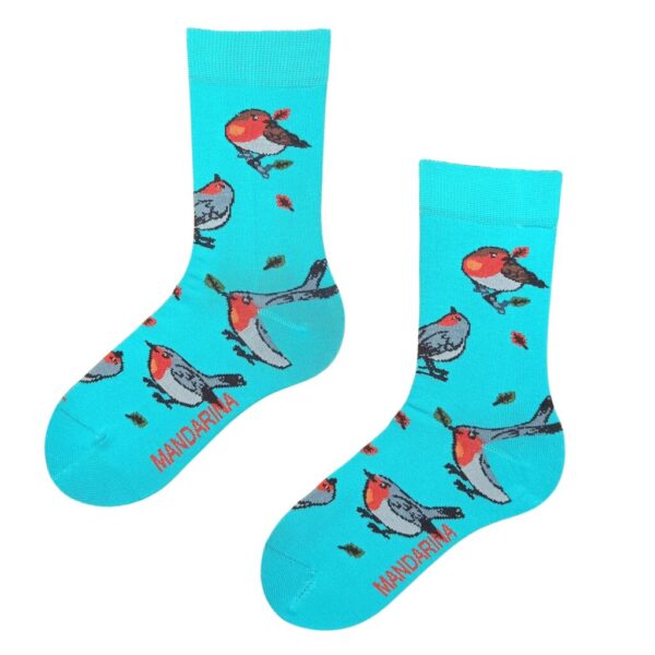Bird [Bar]