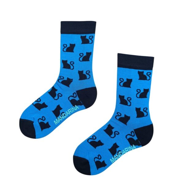 Cat [Blue]