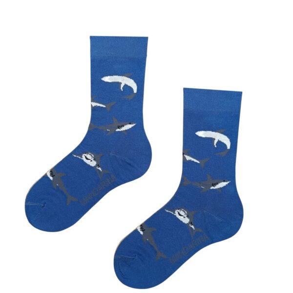 Sharks