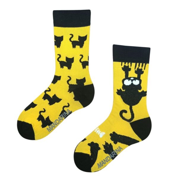 Cat Yellow