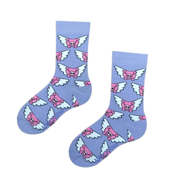 Flying Pig